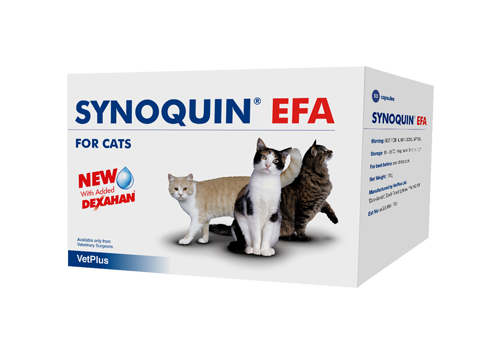 Synoquin EFA Cat | VetPlus