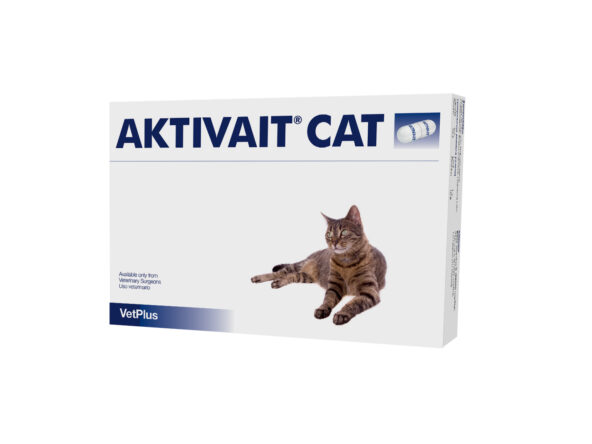 Aktivait Cat