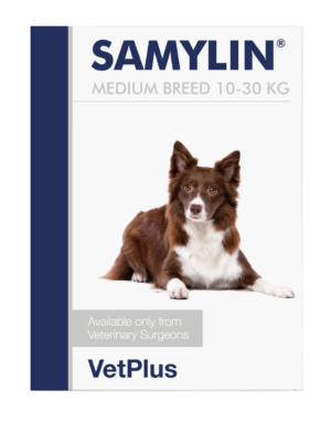 SAMYLIN® MEDIUM BREED SACHETS
