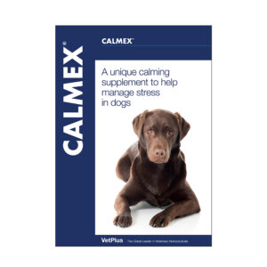 Vet Brochure (Dog)