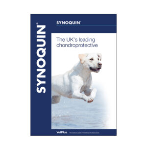 SYNOQUIN® Vet Brochure