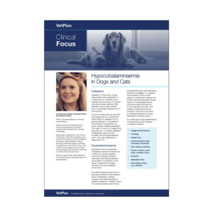 Clinical Focus Newsletter - Hypocobalaminaemia in Dogs and Cats