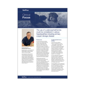 Clinical Focus Newsletter - The Use of S-adenosylmethionine