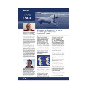 Clinical Focus Newsletter - Diagnosis and Treatment of Cranial Ligament Disease