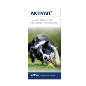 AKTIVAIT® Assessment Scorecard