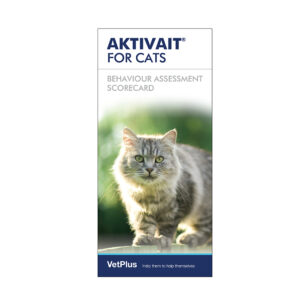 Assessment Scorecard (Cat)