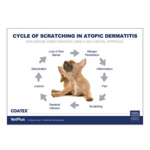 COATEX® Scratch Cycle Poster (A4)