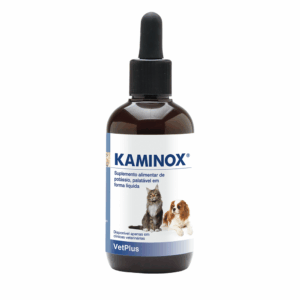 KAMINOX®