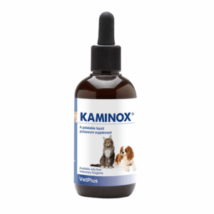 KAMINOX®