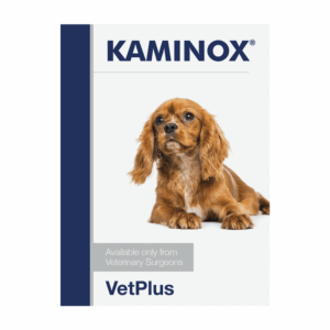 KAMINOX® BEUTEL