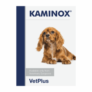 KAMINOX® SOBRES