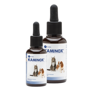 KAMINOX®